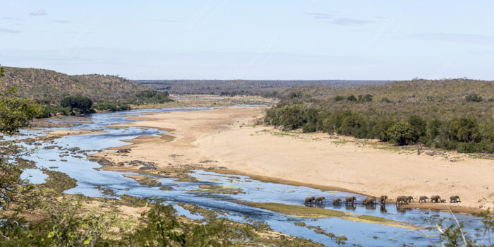 Elephants by a river in Kruger National Park, showcasing wildlife and nature photography by Dawid Lotz for fine art prints.